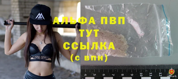 стафф Бородино