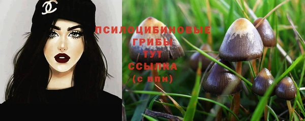 стафф Бородино