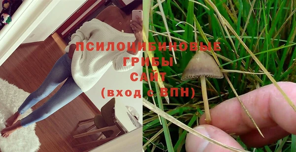 стафф Бородино